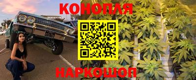 крисы Камышлов