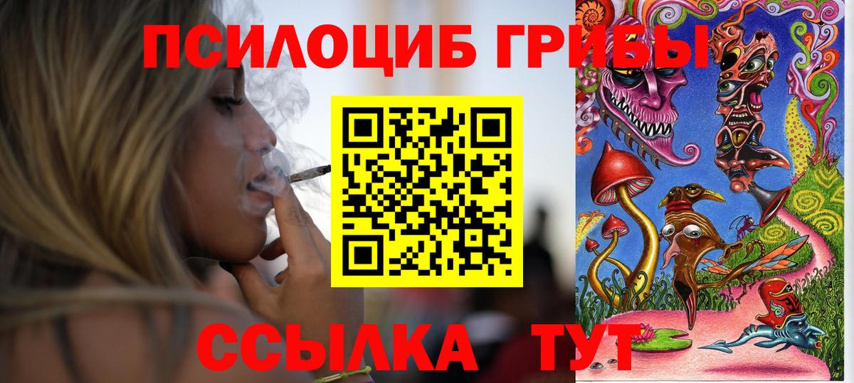 Гулькевичи  Галлюциногенные грибы прущие грибы  Вход с VPN 