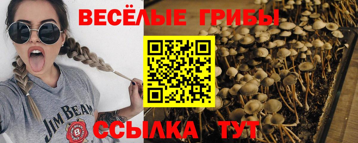 Галлюциногенные грибы GOLDEN TEACHER Гулькевичи